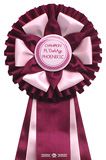 purple 108 / light pink 103