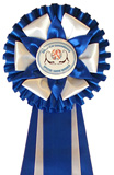 cornflower 143 / white 101