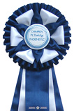 dark blue 144 / white 101