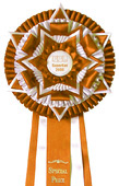 orange 146 / white 101